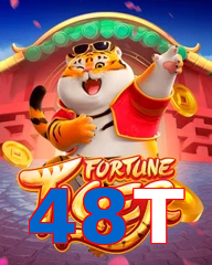 48T