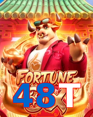 48T