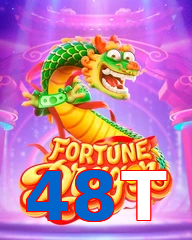 48T