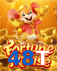 48T